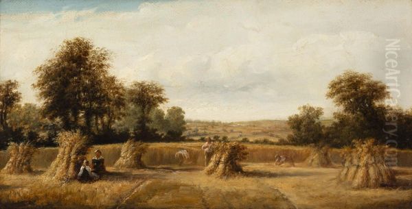 The Cornfield - view 1