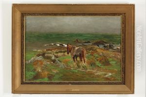 Horse (Surveying the Scene - previously titled & incorrect) by Petrus van der Velden