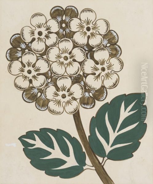 Untitled (Hydrangea) - view 1