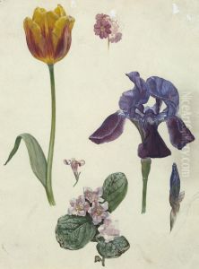 Untitled (Plant cuttings)