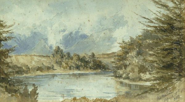 The Waiau - view 1