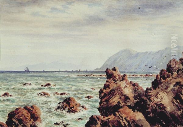 Rocky Coastline - view 1