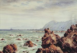 Rocky Coastline