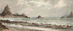 The Sugar Loaves, New Plymouth by Charles Decimus Barraud
