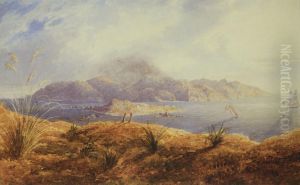 Kapiti Island by John Alexander Gilfillan