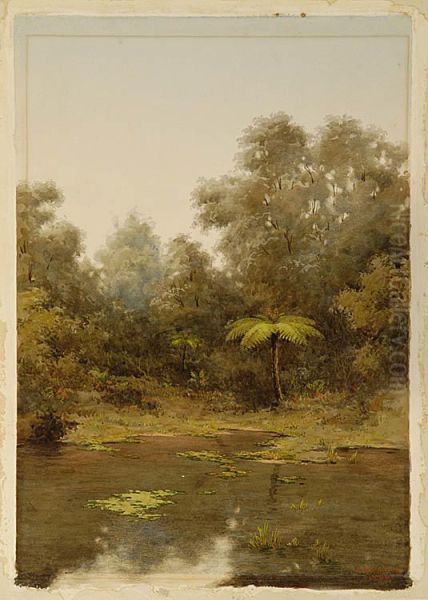 A Bush Pool - view 1