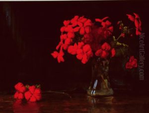 Untitled (Red geraniums)