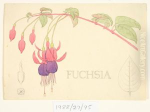 Untitled (Fuchsia) by Vivian Smith
