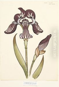 Untitled (Iris) Untitled (Iris)