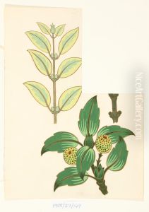 Untitled (Leaf designs) by Vivian Smith