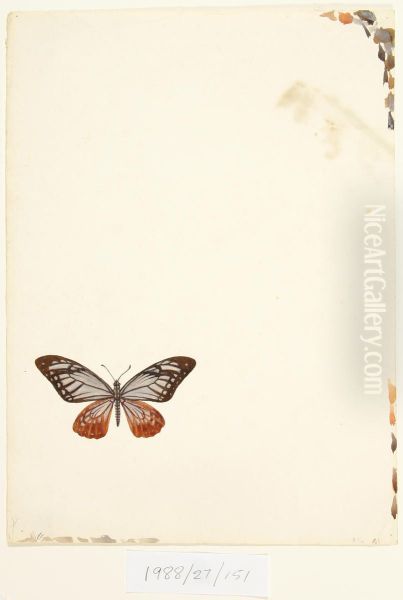 Untitled (Butterfly) - view 1