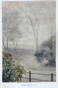 Untitled (Garden in fog) by Vivian Smith