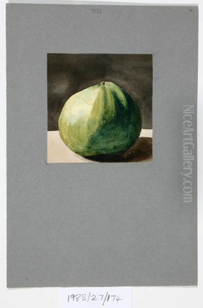 Untitled (Apple) - view 1