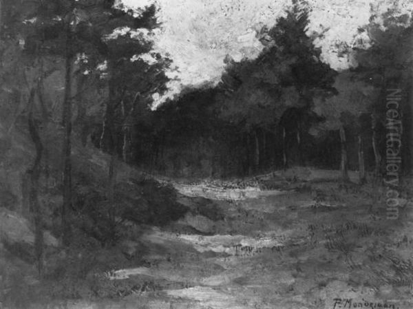 Wood near Driebergen - view 1