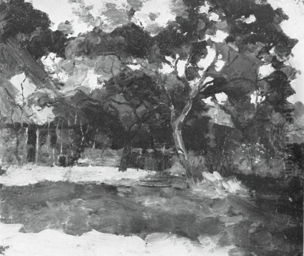 Farm buildings in Het Gooi, veiled by trees - view 1