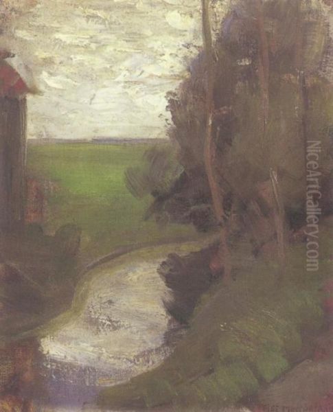 Fragment of an irrigation ditch - view 1