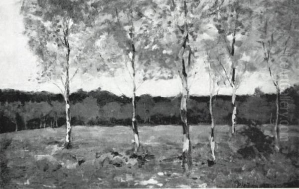 Six young birch trees in a field - view 1