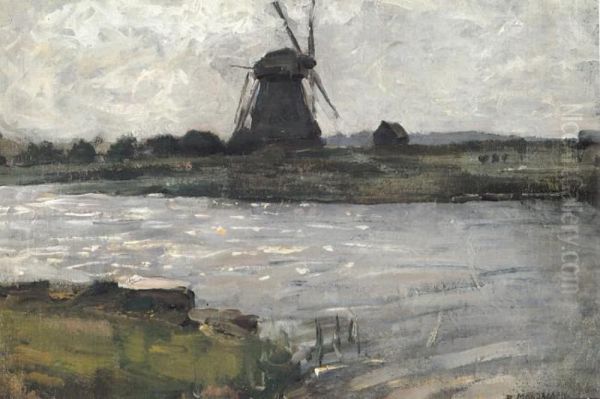 Oostzijdse mill viewed from dock at Landzicht farm - view 1