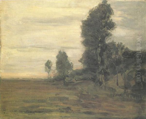 Landschap bij Uden - view 1