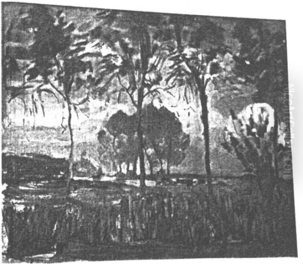 Farm setting, four tall trees in the foreground II - view 1
