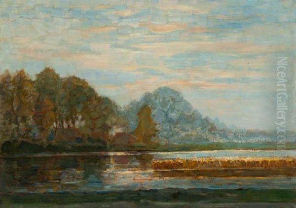 Fen near Saasveld - view 1