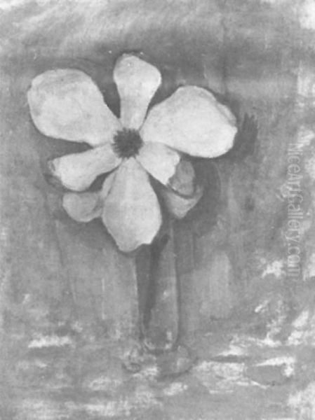 Magnolia - view 1