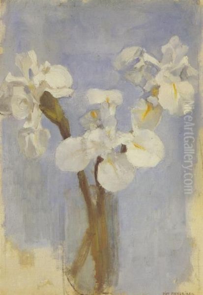 White irises against a light blue background II - view 1