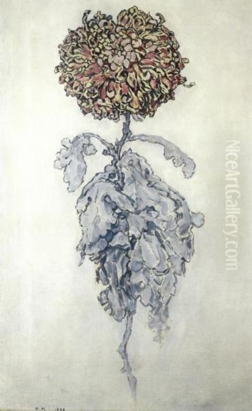 Chrysanthemum - view 1