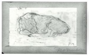 Sketch of a calf lying down Sketch of a calf lying down