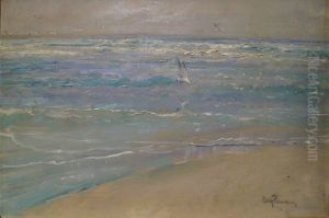 Sea-gull off the beach