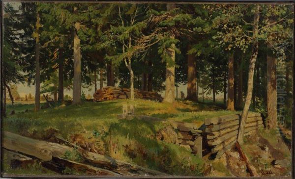 Edge of the forest - view 1