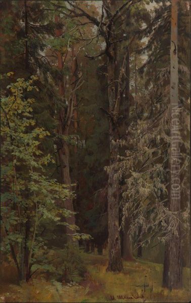 Mixed forest - view 1