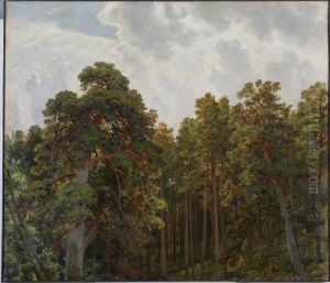 <<Verhuski sosen>> by Ivan Shishkin