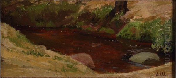 River bank - view 1