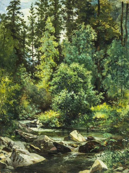Forest river - view 1