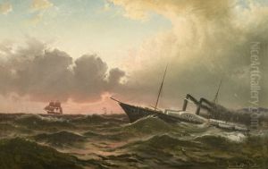The paddle steamer Crown Princess Louise at Faerder by Reinholdt Boll