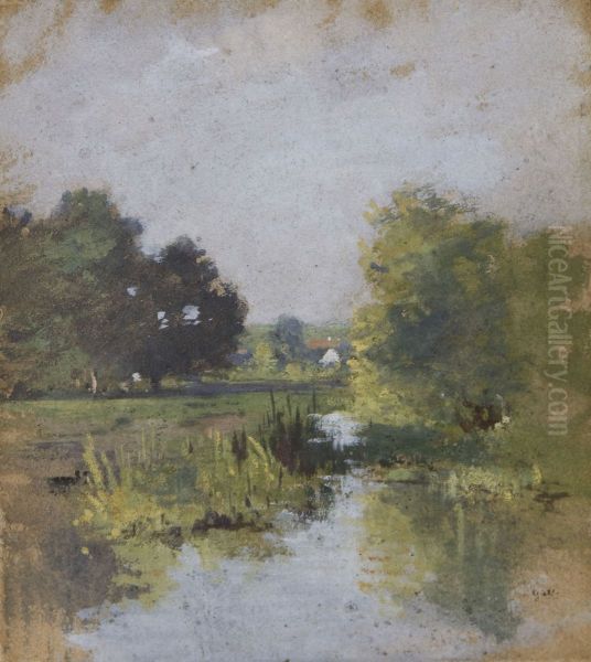 Landscape - view 1