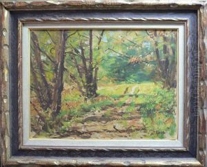 Forest Scene Forest Scene