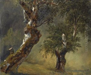 Study of trees by Thomas Fearnley