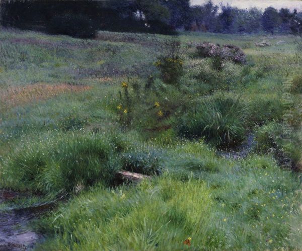 The Brook at Medfield - view 1