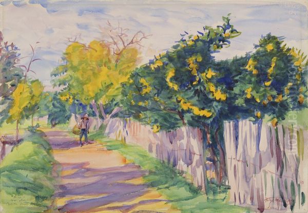A Lane Through an Orange Grove, Orihuela - view 1