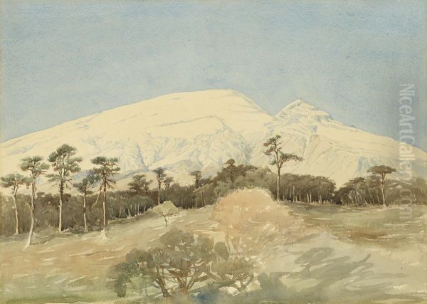 A Snow-Capped Mountain - view 1