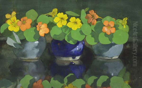 Nasturtiums - view 1