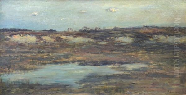 Sand Dunes, Wastelands - view 1