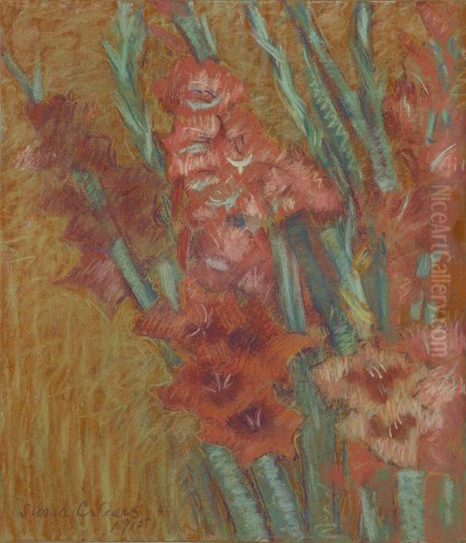 Gladioli - view 1