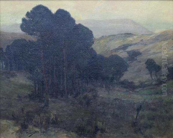 Pines in the Valley - view 1