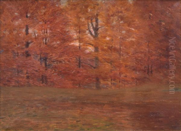 The Edge of the Wood - view 1