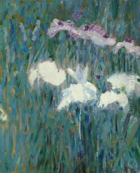 Japanese Irises - view 1