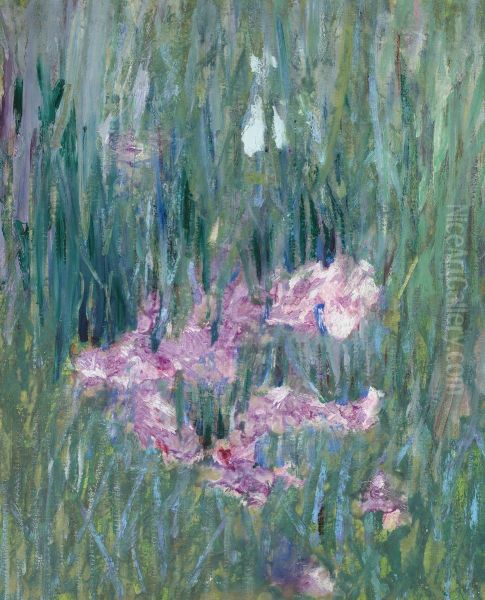 Japanese Irises - view 1