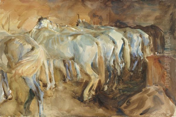 Bus Horses in Jerusalem - view 1